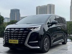 Denza BYD Denza D9 2024 DM-i 1050 Premium - ფოტო 1