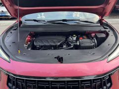 Dongfeng Fenghang T5 EVO 1.5TD DCT Star Shine Edition - ფოტო 14