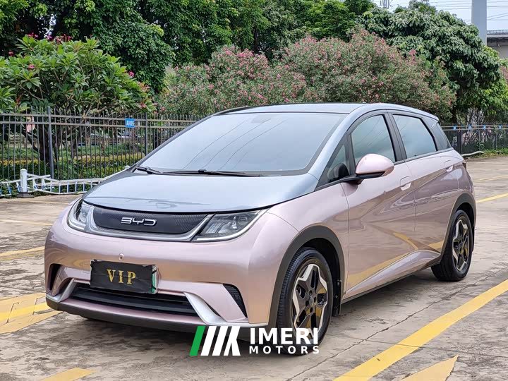 BYD Dolphin 405km Fashion Edition - ავტომობილი ჩინეთიდან