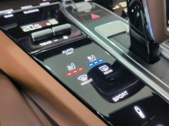 Porsche Cayenne S 2.9T Platinum Edition - ფოტო 13