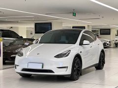 Tesla Model Y Long Range All-Wheel Drive - ფოტო 1