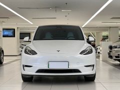Tesla Model Y Long Range All-Wheel Drive - ფოტო 2