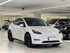 Tesla Model Y Long Range All-Wheel Drive - ფოტო 3