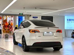 Tesla Model Y Long Range All-Wheel Drive - ფოტო 5