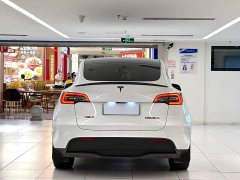 Tesla Model Y Long Range All-Wheel Drive - ფოტო 6