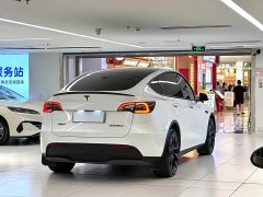 Tesla Model Y Long Range All-Wheel Drive - ფოტო 7