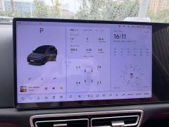 Li Auto L6 Pro - ფოტო 10