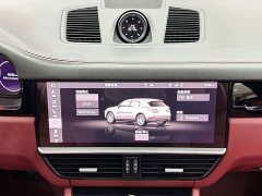 Porsche 2019 Cayenne 3.0T - ფოტო 16