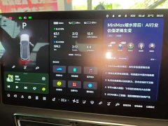 Li Auto L9 Max - ფოტო 10