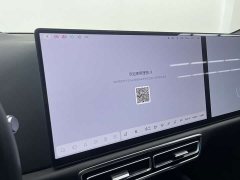 Li Auto L9 Max - ფოტო 9