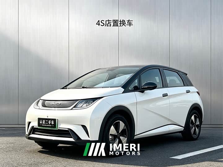 BYD Dolphin 420km Fashion Edition - ავტომობილი ჩინეთიდან