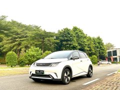 BYD Dolphin 420km Fashion Edition - ფოტო 2