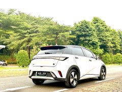 BYD Dolphin 420km Fashion Edition - ფოტო 7