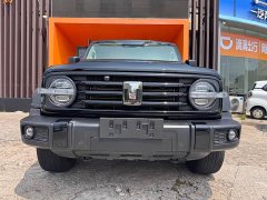 Tank 300 Off-Road Edition 2.0T Conqueror - ფოტო 2