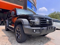 Tank 300 Off-Road Edition 2.0T Conqueror - ფოტო 3