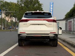 Haval H6 2021 National Trend 1.5T Automatic Champion Edition - ფოტო 5