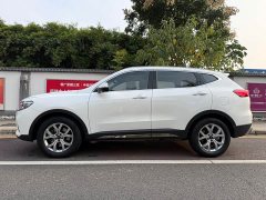Haval H6 2021 National Trend 1.5T Automatic Champion Edition - ფოტო 7