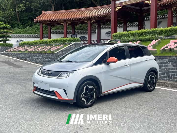 BYD Dolphin 405km Fashion Edition - ავტომობილი ჩინეთიდან