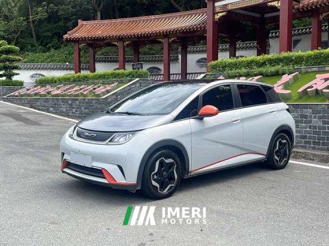 2022 BYD Dolphin 405km Fashion Edition - ავტომობილი ჩინეთიდან