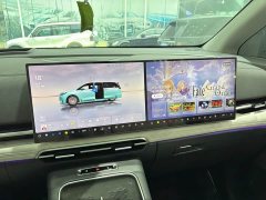 Voyah Lantu Dreamchaser PHEV AWD Luxury Kunpeng Edition - ფოტო 13