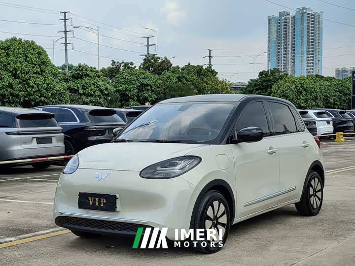 Wuling Binguo 410km Lingxi Premium Edition