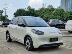 Wuling Binguo 2023 410km Lingxi Premium Edition - ფოტო 3