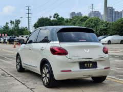 Wuling Binguo 2023 410km Lingxi Premium Edition - ფოტო 4