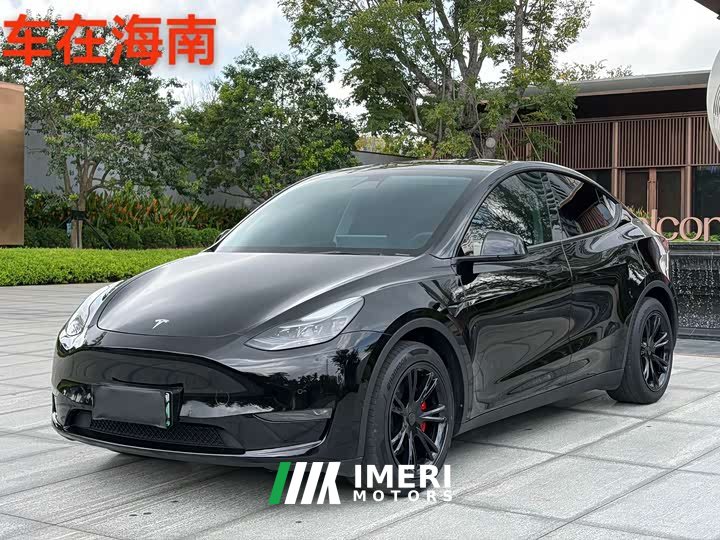 Tesla Model Y Standard Range RWD - ავტომობილი ჩინეთიდან