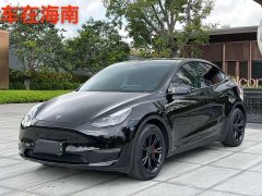 Tesla Model Y Standard Range RWD - ფოტო 1
