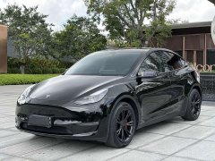 Tesla Model Y Standard Range RWD - ფოტო 2