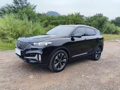 Great Wall WEY VV6 2.0T Two-Wheel Drive Smart Protection - ფოტო 1