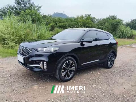 2021 WEY VV6 2.0T Two-Wheel Drive Smart Protection
