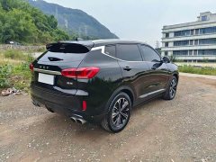 Great Wall WEY VV6 2.0T Two-Wheel Drive Smart Protection - ფოტო 10