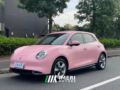 2022 ORA Good Cat Morandian Edition 500km Long Range Luxury Trim Ternary Lithium - ავტომობილი ჩინეთიდან