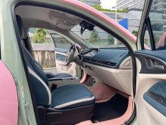 ORA Good Cat Morandian Edition 500km Long Range Luxury Trim Ternary Lithium - ფოტო 11