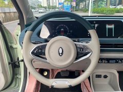 ORA Good Cat Morandian Edition 500km Long Range Luxury Trim Ternary Lithium - ფოტო 13