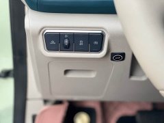 ORA Good Cat Morandian Edition 500km Long Range Luxury Trim Ternary Lithium - ფოტო 17
