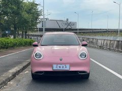 ORA Good Cat Morandian Edition 500km Long Range Luxury Trim Ternary Lithium - ფოტო 2