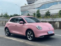 ORA Good Cat Morandian Edition 500km Long Range Luxury Trim Ternary Lithium - ფოტო 3