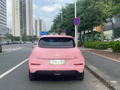 ORA Good Cat Morandian Edition 500km Long Range Luxury Trim Ternary Lithium - ფოტო 6