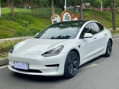 Tesla Model 3 Standard Range RWD Upgrade - ფოტო 1