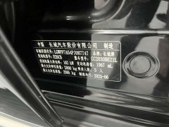 Tank 300 City Edition 2.0T Stylish - ფოტო 15