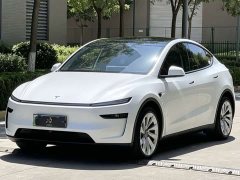 Tesla Model Y Long Range All-Wheel Drive Launch Edition - ფოტო 1