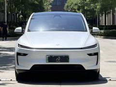 Tesla Model Y Long Range All-Wheel Drive Launch Edition - ფოტო 2