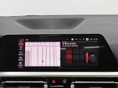 BMW 3 Series 2020 325Li M Sport Night Edition Package - ფოტო 13