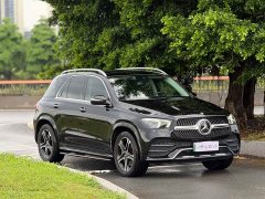 Mercedes-Benz GLE New Energy GLE 350e 4MATIC Smart Comfort Edition - ფოტო 3