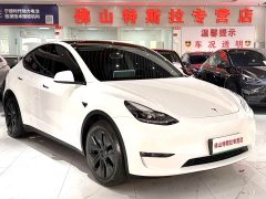 Tesla Model Y 2023 Long Range All-Wheel Drive - ფოტო 2