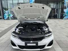 BMW 3 Series Facelift 325Li M Sport Night Edition Package - ფოტო 17