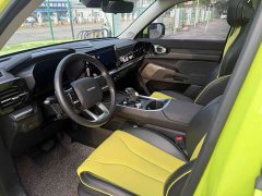 Haval Cool Dog 1.5T DCT AWD Trendy Wilderness Edition - ფოტო 10