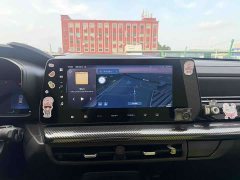 Haval Cool Dog 1.5T DCT AWD Trendy Wilderness Edition - ფოტო 5
